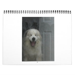 Great Pyrenees Calender Calendar