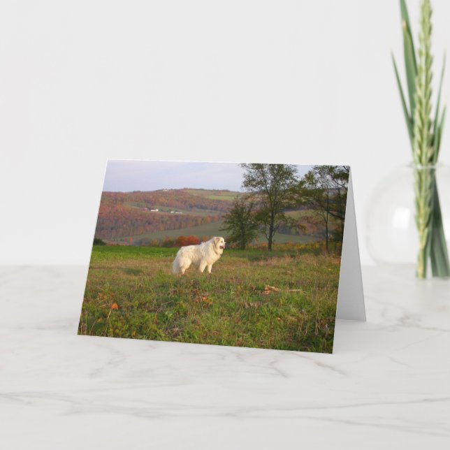 Great Pyrenees Card (Front)
