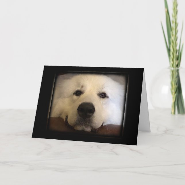 Great Pyrenees Card (Front)
