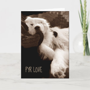 Great Pyrenees Card