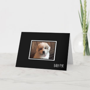 Great Pyrenees Card