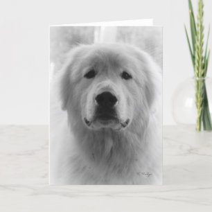Great Pyrenees Card