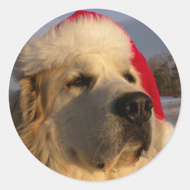 Great Pyrenees Christmas Sticker (Front)