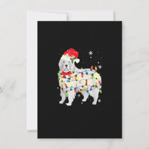 Great Pyrenees Dog Christmas Light Xmas Mum Dad Ap Invitation