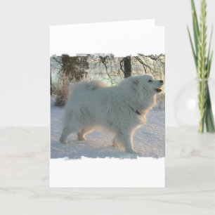 Great Pyrenees Dog Greeting Card