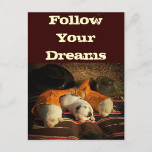 Great Pyrenees Dream Big Postcard