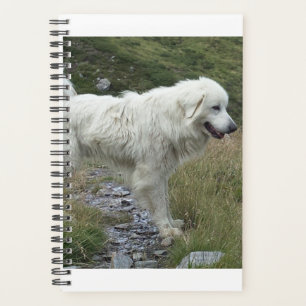 great pyrenees full planner