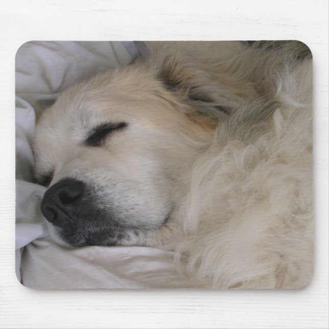 Great pyrenees mousepad (Front)