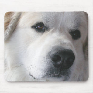 Great Pyrenees Mousepad