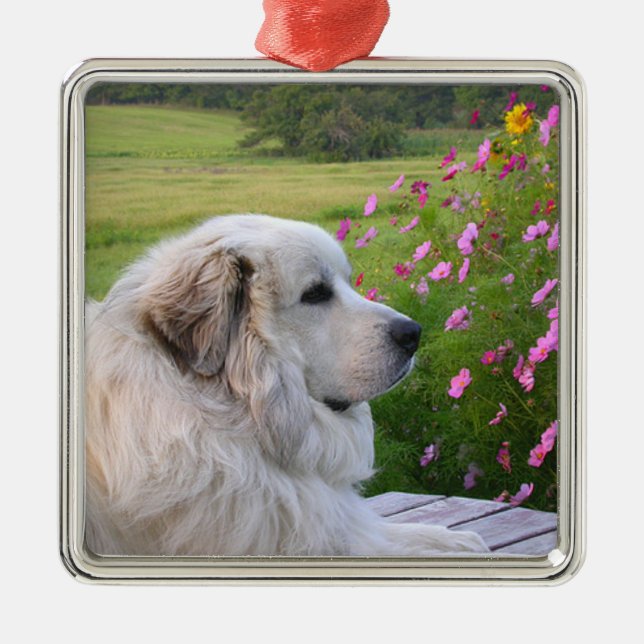 Great Pyrenees Ornament (Front)