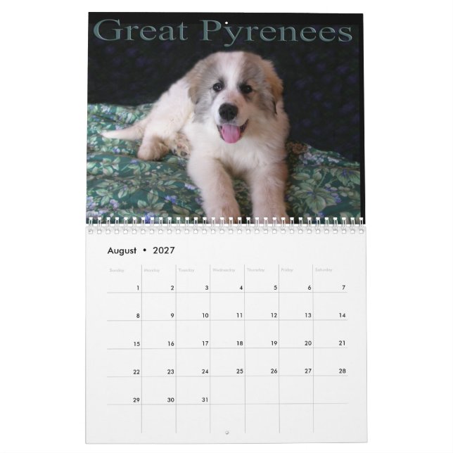 Great Pyrenees Puppy Calendar (Aug 2027)