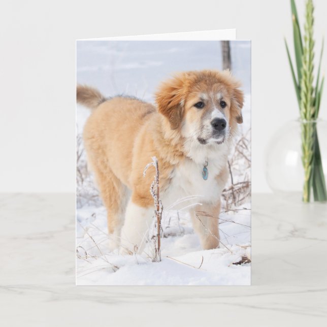 Great Pyrenees Puppy in the Snow Holiday Card (Front)