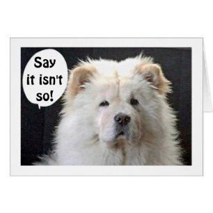 GREAT PYRENEES SAYS FABULOUS AND "40"