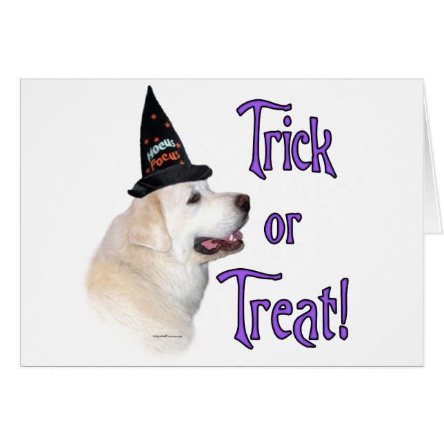 Great Pyrenees Trick (Front Horizontal)