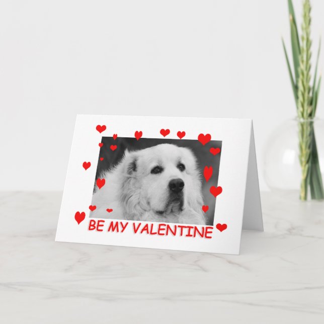 Great Pyrenees valentine card (Front)