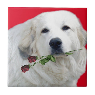 Great Pyrenees with Roses Tile