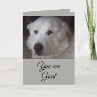Great Pyrenees - You are Great Thank You Card