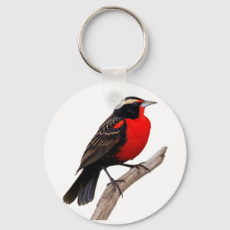 Great red breast (Sturnella defilippii), Key Ring
