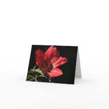 Great Red hibiscus (Hibiscus coccineus) card