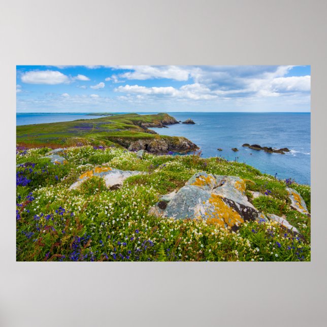 GREAT SALTEE, SALTEE ISLANDS, IRELAND POSTER (Front)