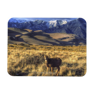 Great Sand Dunes National Park, Colorado Magnet