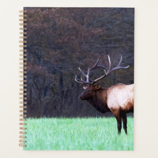 Great Smoky Mountain Elk 2026 Planner