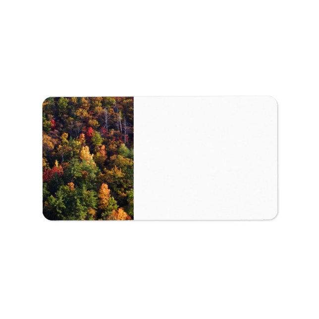 Great Smoky Mountain National Park Label (Front)