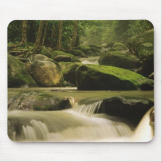 Great Smoky Mountain National Park, TN 2 Mouse Mat
