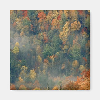 Great Smoky Mountain National Park, TN Magnet