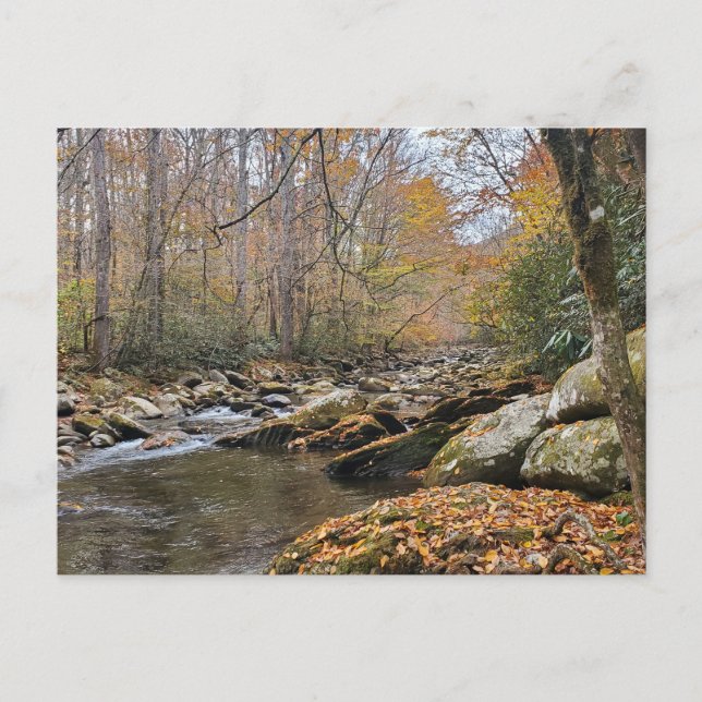 Great Smoky Mountains Fall Autumn River Postcard (Front)