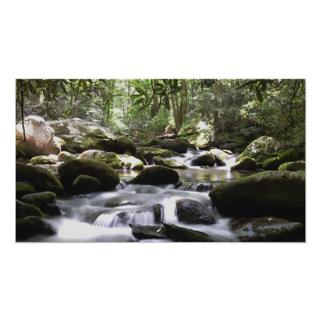 Great Smoky Mountains Flowing Mountain Stream Photo Print (Front)