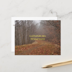 Great Smoky Mountains Gatlinburg Tennessee  Postcard