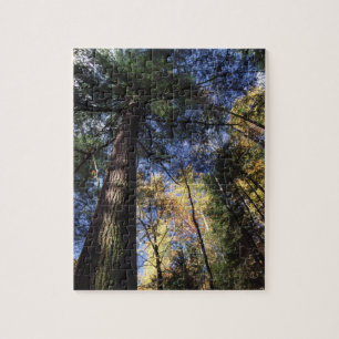 Great Smoky Mountains Jigsaw Puzzle