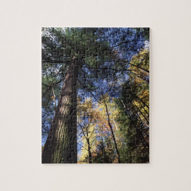 Great Smoky Mountains Jigsaw Puzzle (Vertical)