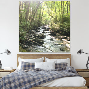 Great Smoky Mountains Mountain Stream Canvas Print