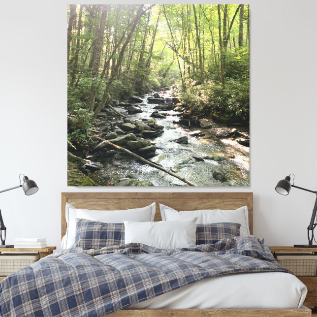 Great Smoky Mountains Mountain Stream Canvas Print (Insitu(Bedroom))