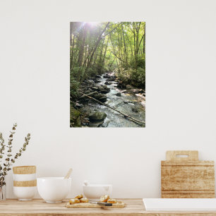 Great Smoky Mountains Mountain Stream Poster