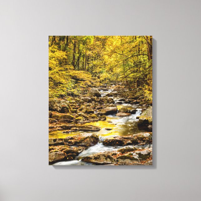 Great Smoky Mountains National Park. Big Creek Canvas Print (Front)