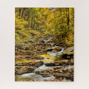 Great Smoky Mountains National Park. Big Creek Jigsaw Puzzle
