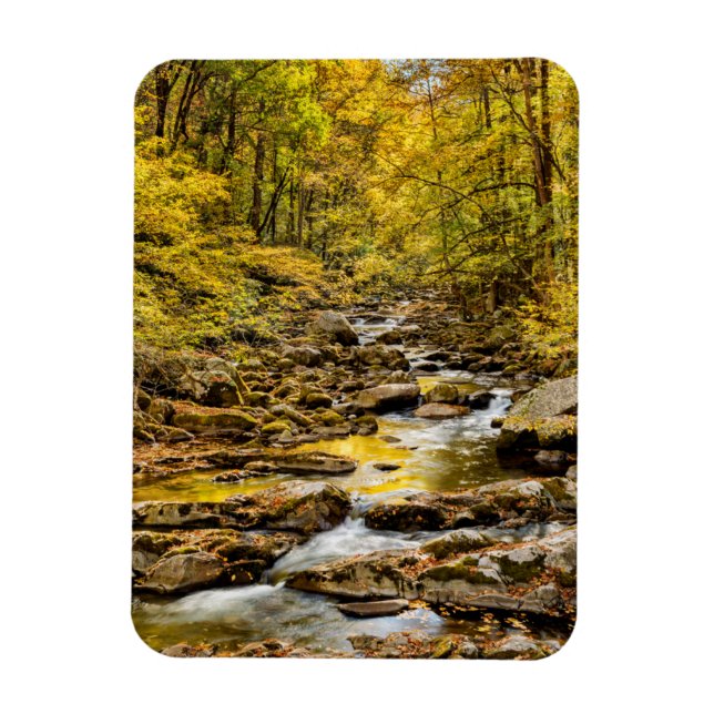 Great Smoky Mountains National Park. Big Creek Magnet (Vertical)