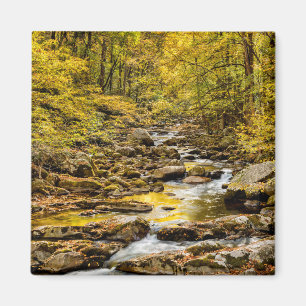 Great Smoky Mountains National Park. Big Creek Magnet