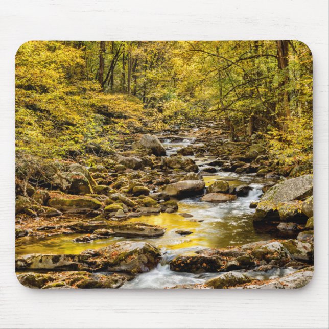 Great Smoky Mountains National Park. Big Creek Mouse Mat (Front)