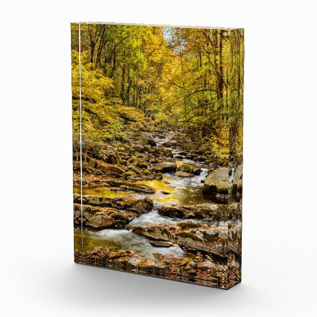 Great Smoky Mountains National Park. Big Creek Photo Block (Right)
