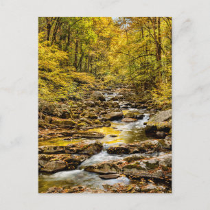 Great Smoky Mountains National Park. Big Creek Postcard