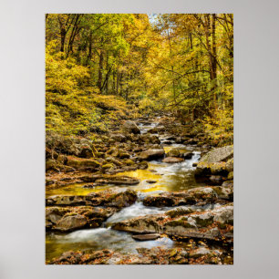 Great Smoky Mountains National Park. Big Creek Poster