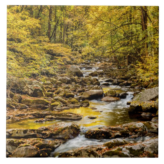 Great Smoky Mountains National Park. Big Creek Tile (Front)