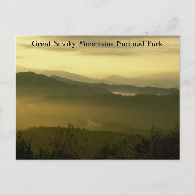 Great Smoky Mountains National Park Dawn Postcard (Front)