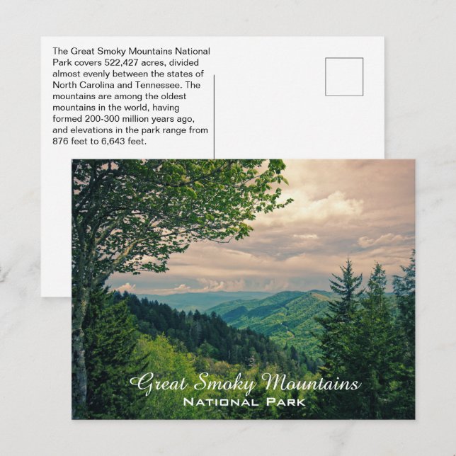 Great Smoky Mountains National Park Facts Postcard (Front/Back)