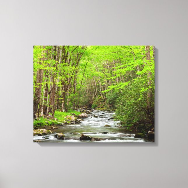Great Smoky Mountains National Park North Carolina Canvas Print (Front)