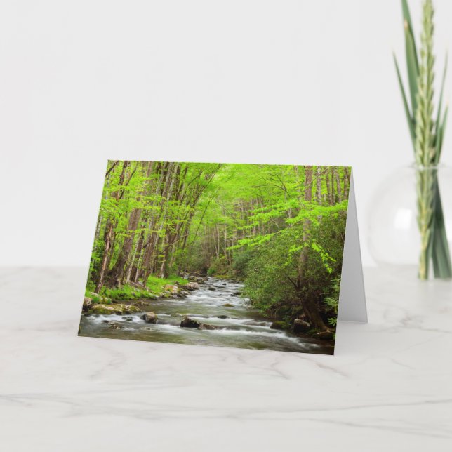 Great Smoky Mountains National Park North Carolina Card (Front)
